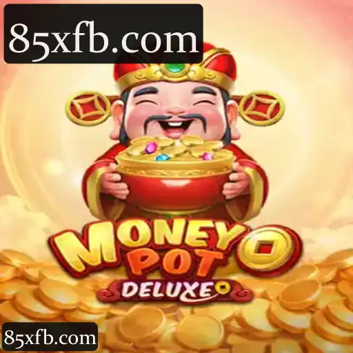 MoneyPotDELUXE